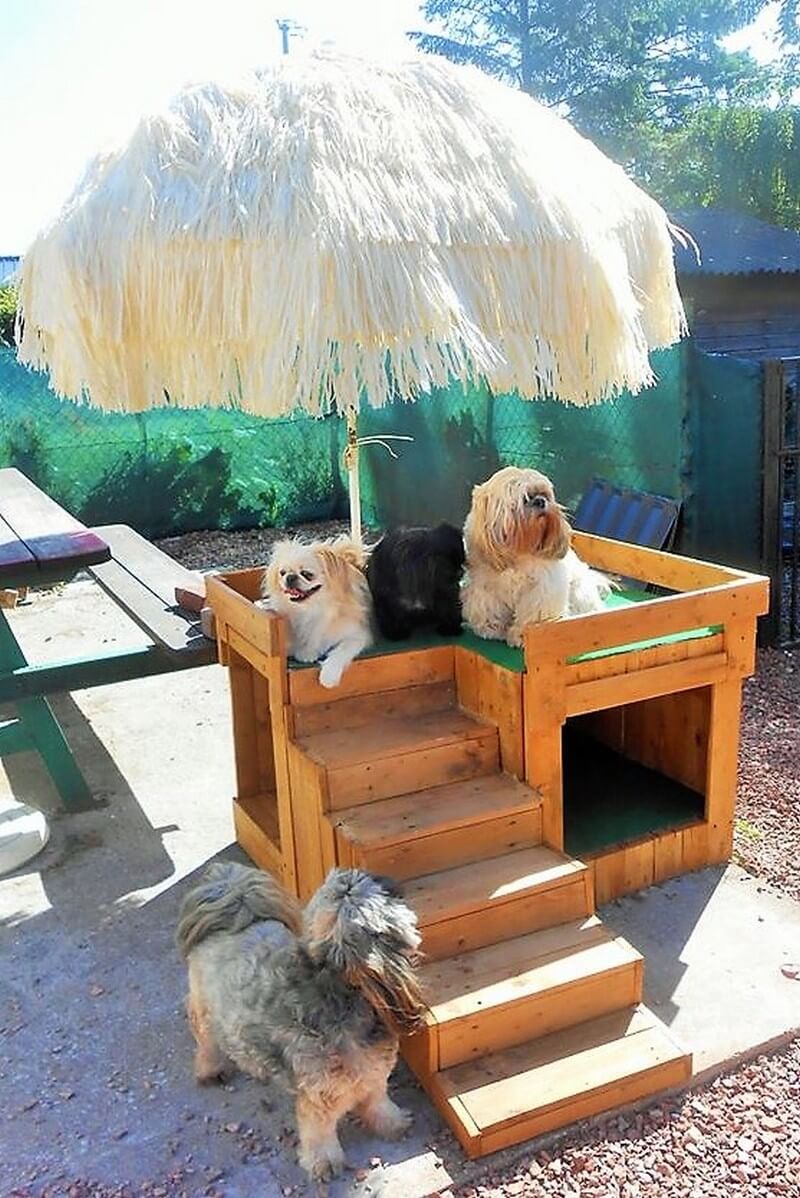 wooden pallet dog house